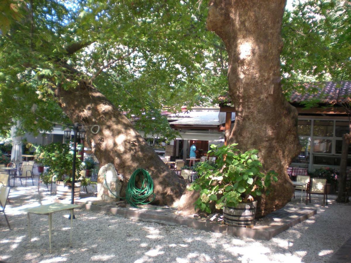 Hotel Difo Loutra Edipsou  Exterior foto